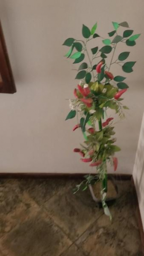 Cantinho do Aconchego